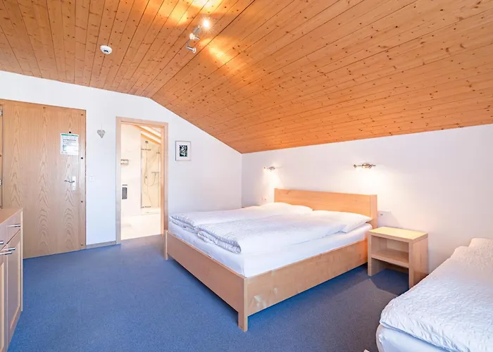 파르나스 3* 체르마트