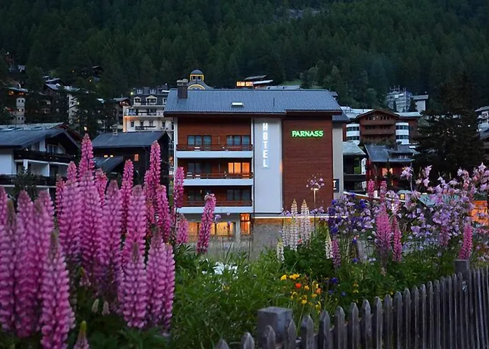فندق Parnass 3*